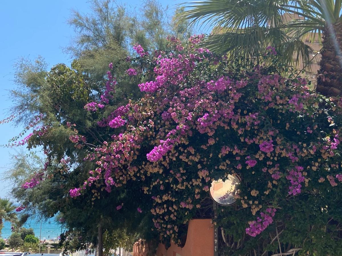 Alicante Apartamento En La Playa Muchavista-San Juan - Marluma Frente Al Mar La Venteta Esterno foto