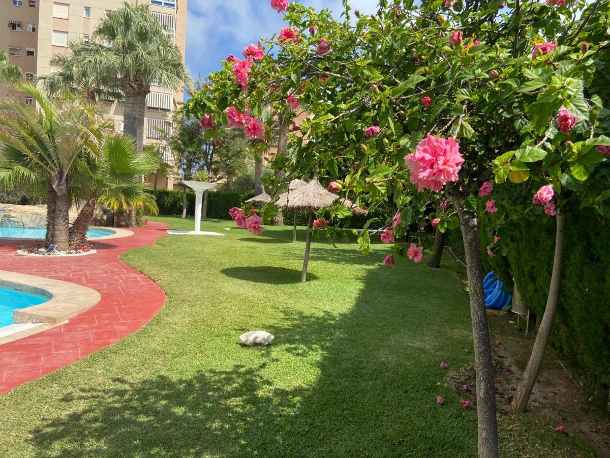 Alicante Apartamento En La Playa Muchavista-San Juan - Marluma Frente Al Mar La Venteta Esterno foto